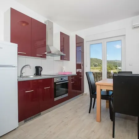 Apartment Petrusic *